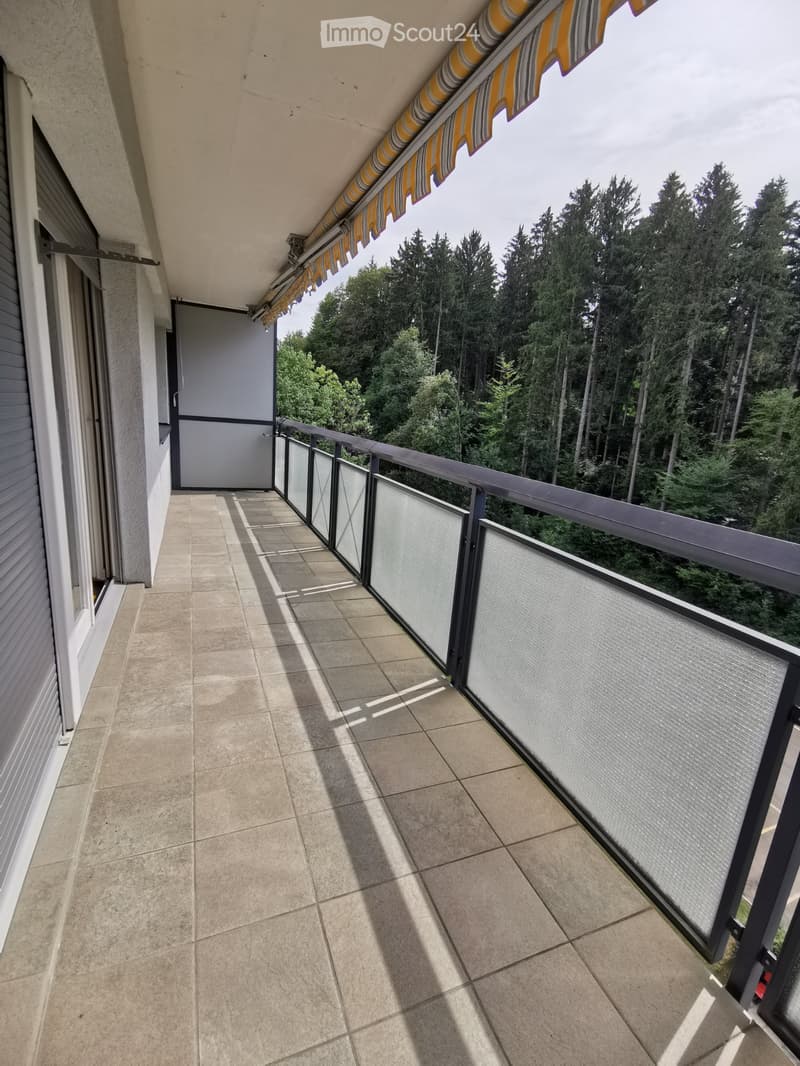 Renovierte 2 Zimmerwohnung in Zollikerberg mit Parkplatz (5)