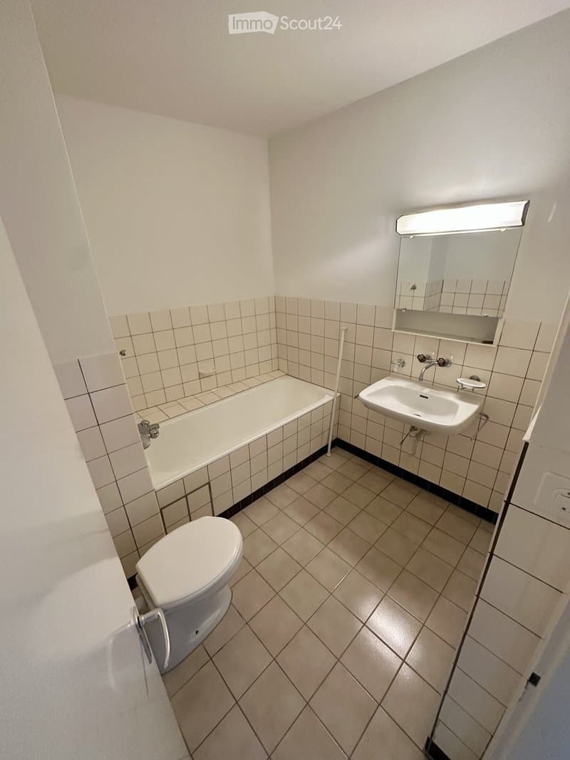 Rent a 1 ½ rooms apartment in Basel (3)
