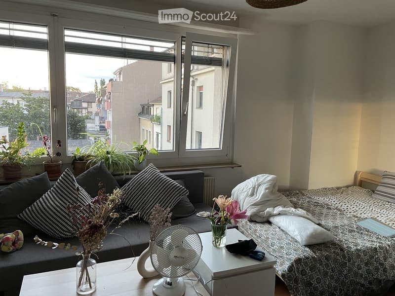 Rent a 1 ½ rooms apartment in Basel (4)