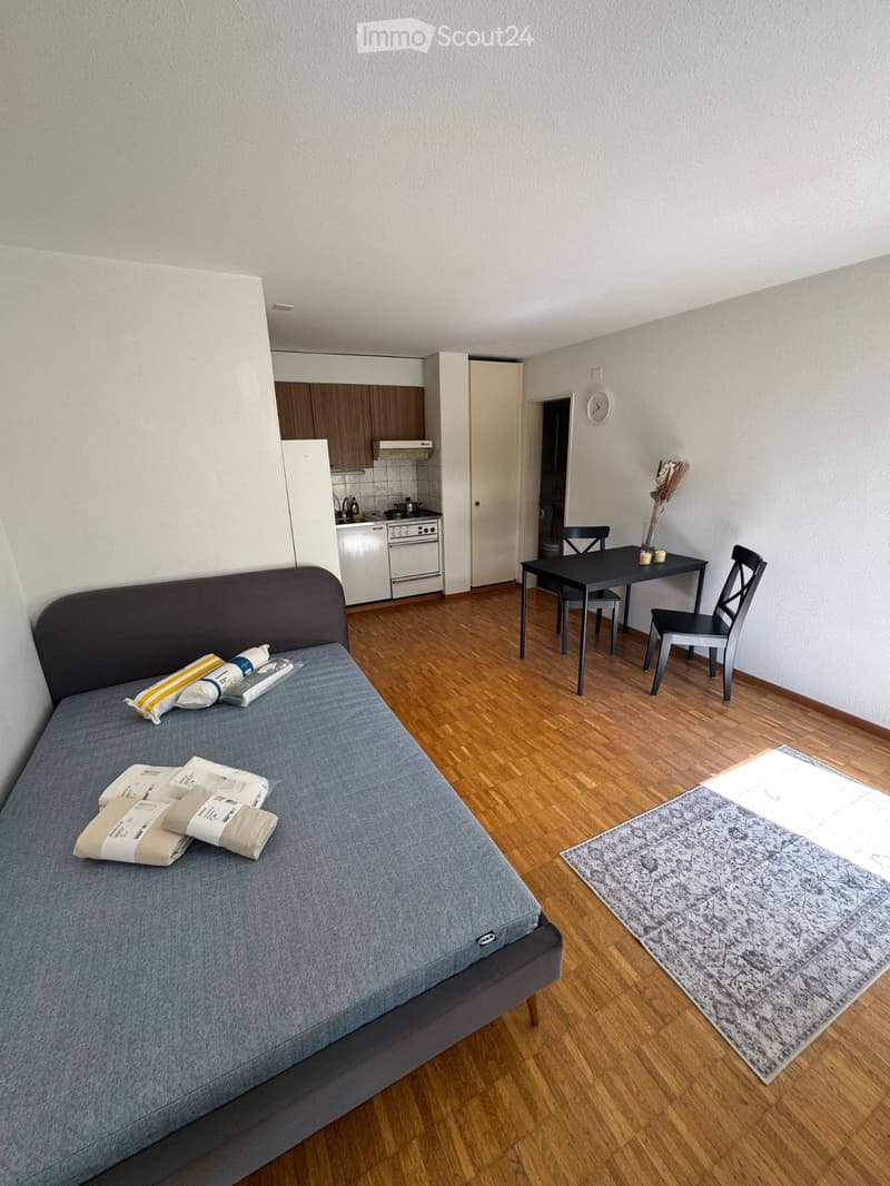 Furnished Studio Apartment near ETH Hönggerberg (2)