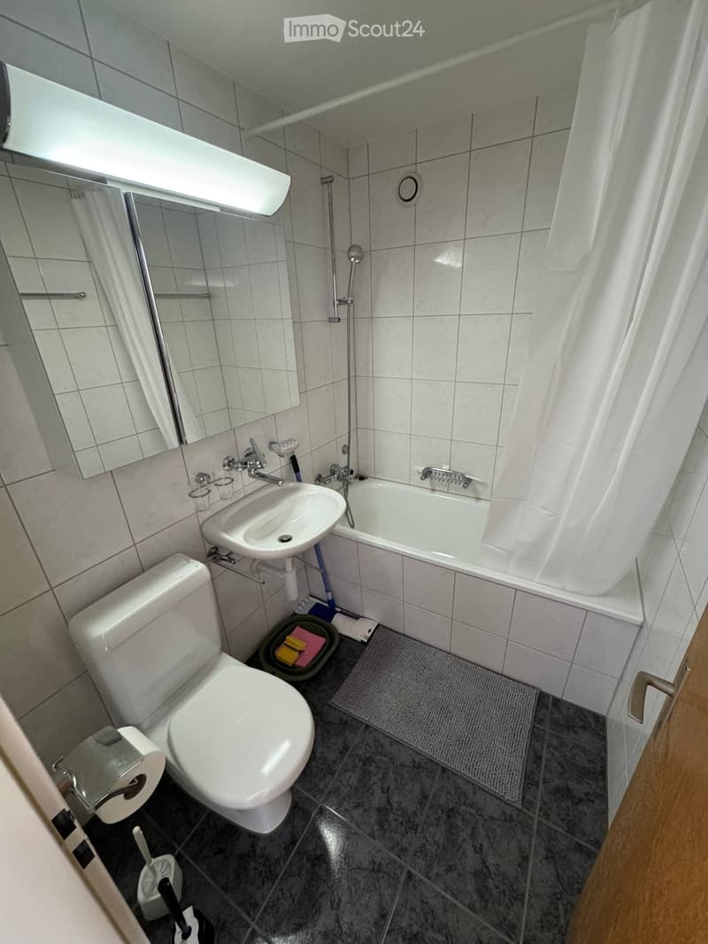 Furnished Studio Apartment near ETH Hönggerberg (3)