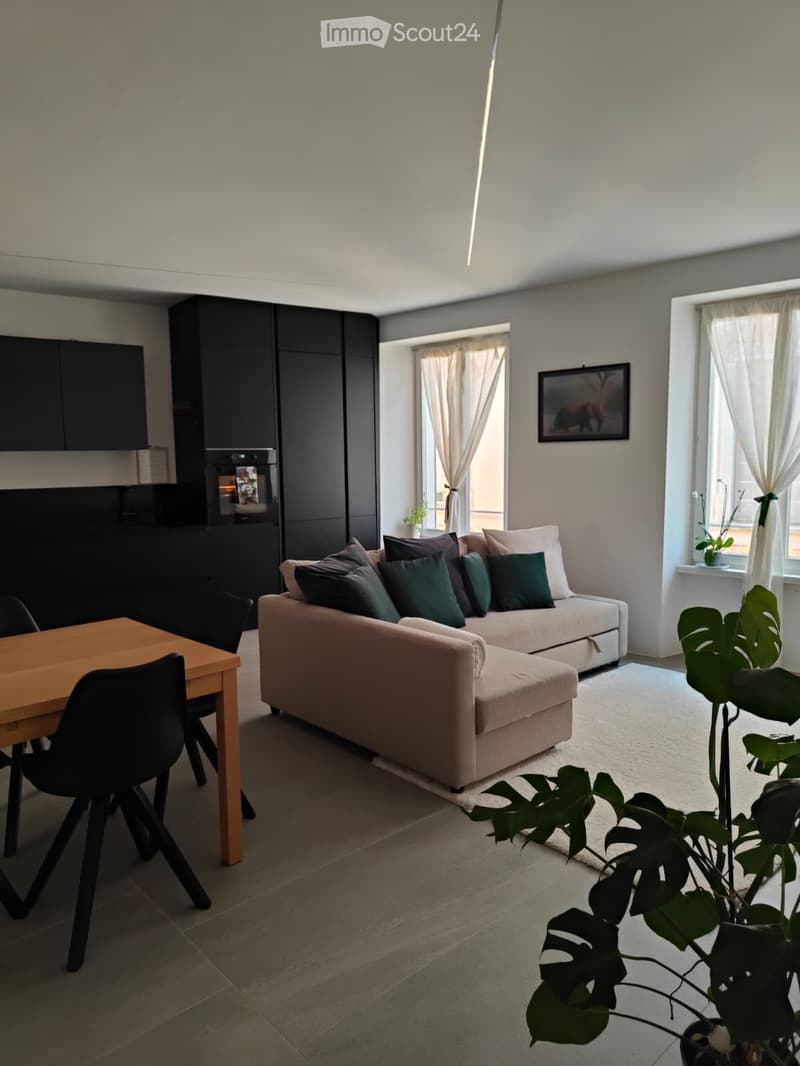 Affittasi stanze in appartamento ammobiliato a Mendrisio (2)