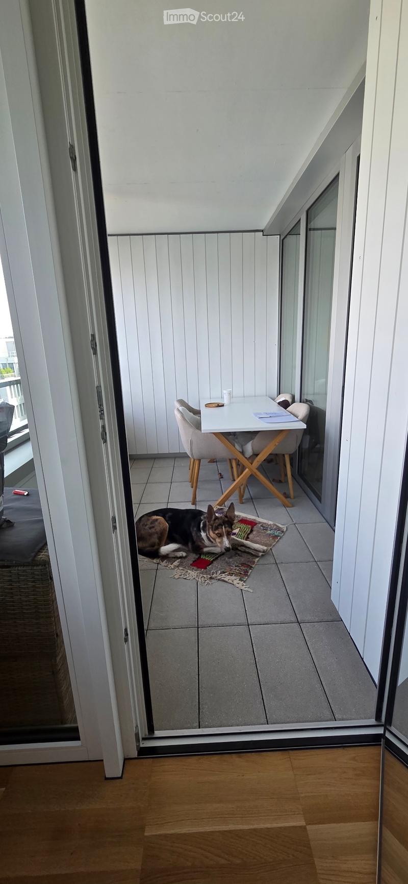 2.5 zimmer in regensdorf (1)