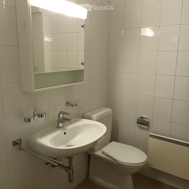 Splendido appartamento in affitto (5)