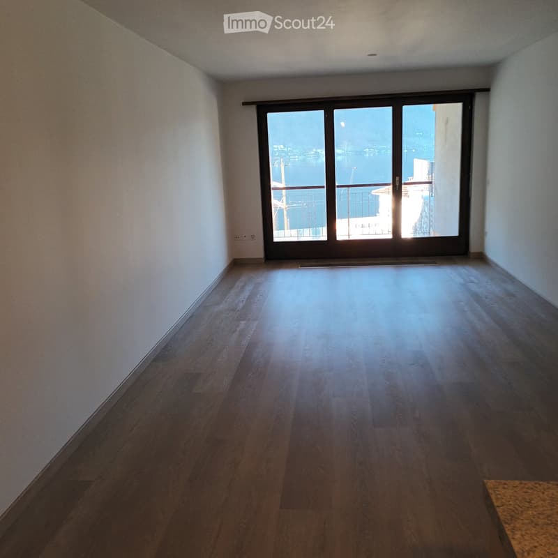 Splendido appartamento in affitto (3)