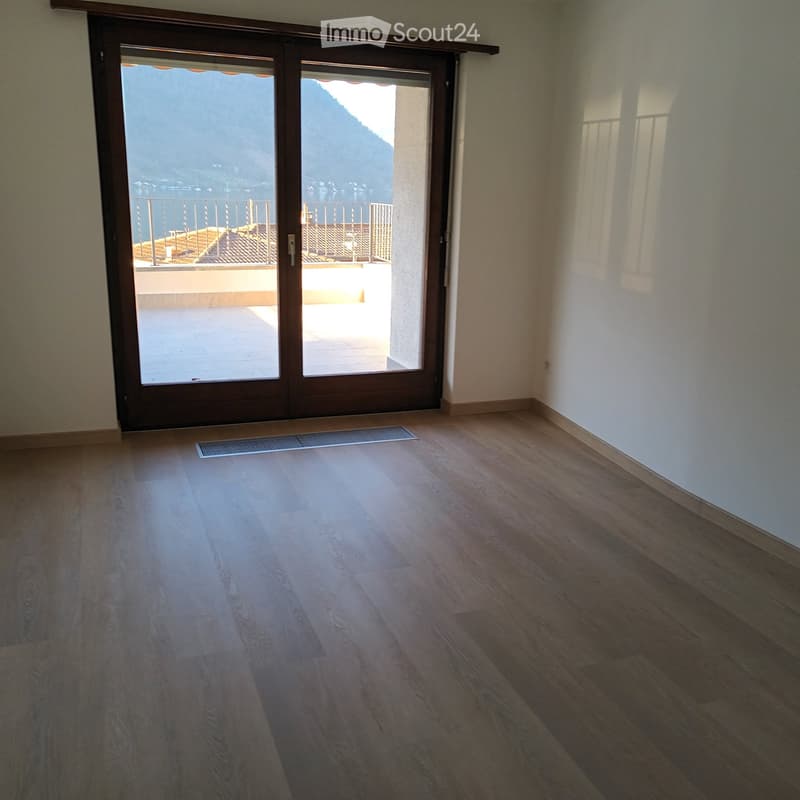 Splendido appartamento in affitto (4)