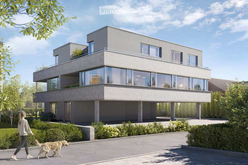 4.5-Zimmer-Neubauwohnung mit Weitsicht, Buchenweg Rothrist (2)