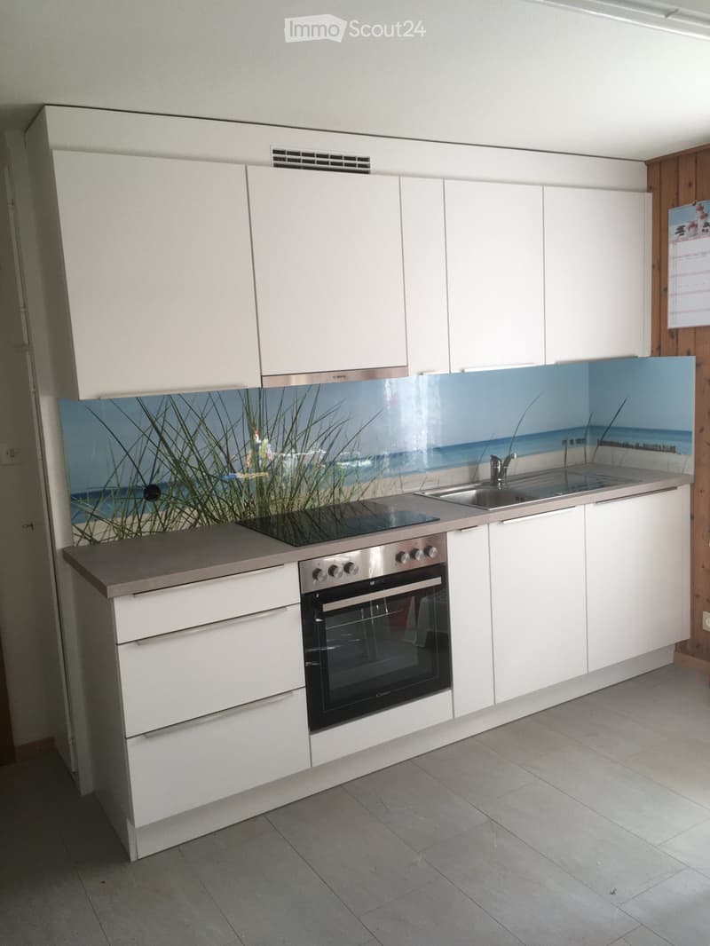 Möbilierte 3.5 Zr Wohnung mit neuer Küche (3)