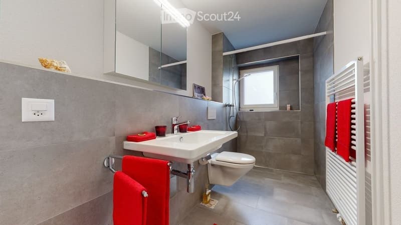 Attraktive 3 ½ Zimmer-Wohnung Nähe Reuss (3)