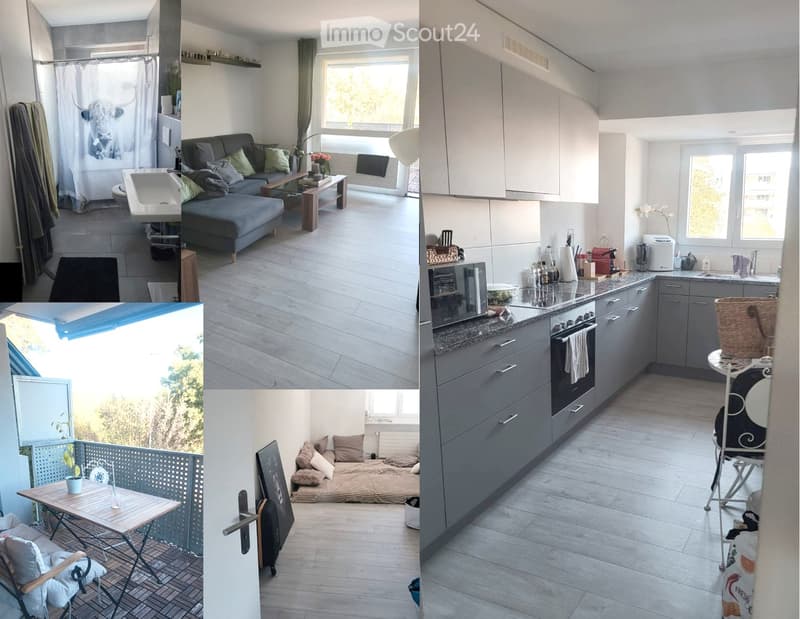 Attraktive 3 ½ Zimmer-Wohnung Nähe Reuss (5)