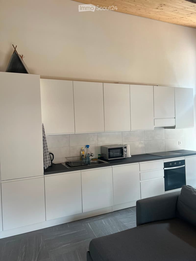 Appartamento 2.5 locali (2)
