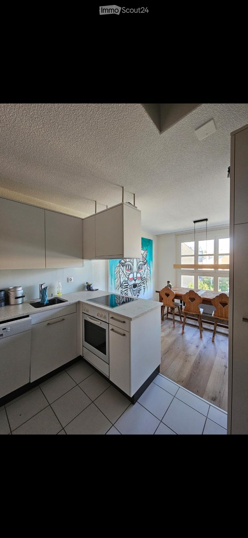 3.5 Zimmerwohnung (5)