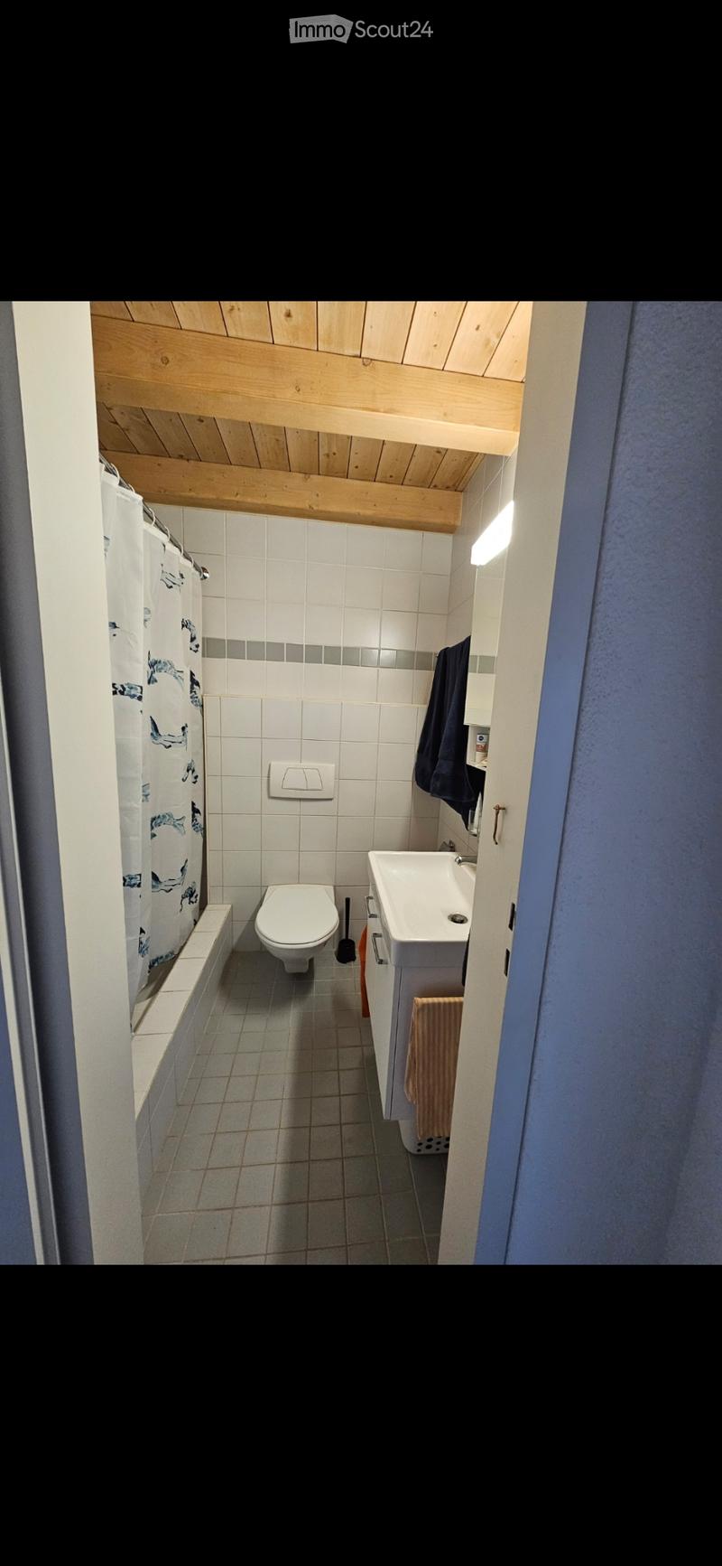 3.5 Zimmerwohnung (2)