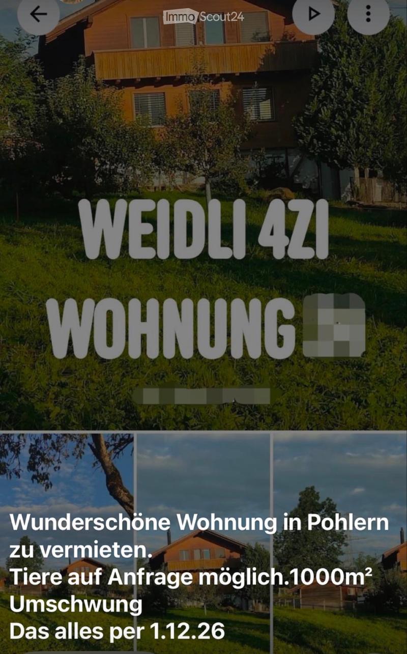 4.5 Zimmer Wohnung zu vermieten (1)
