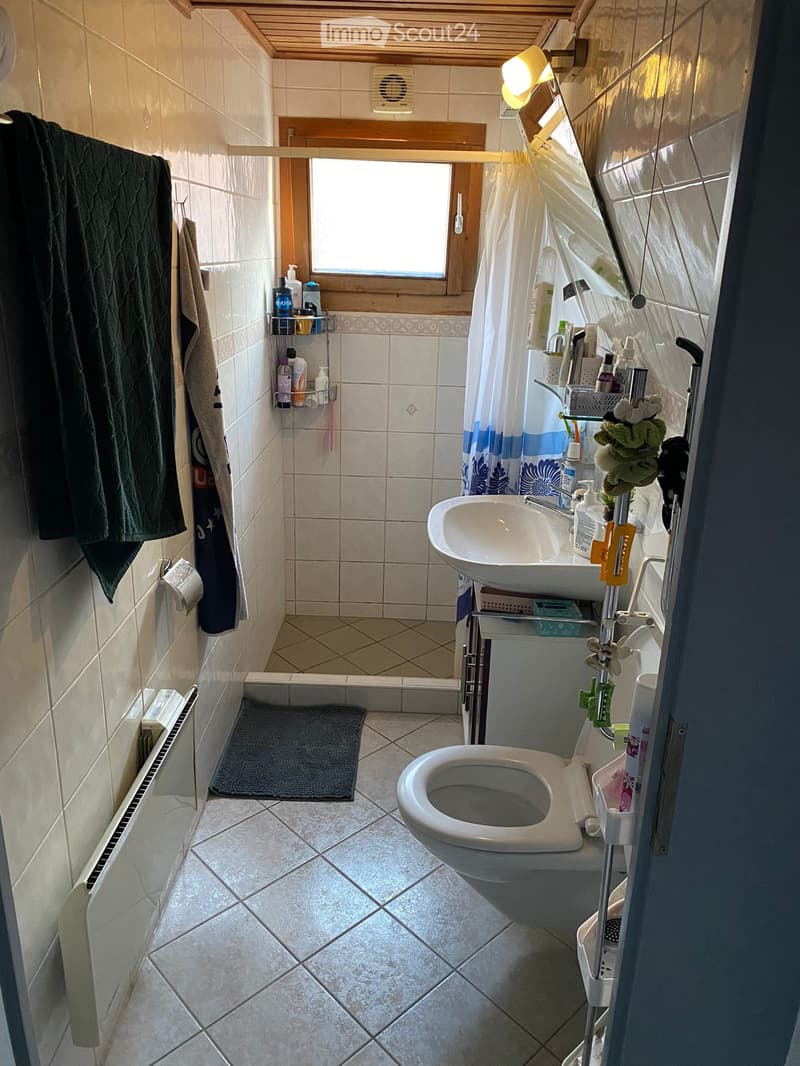 Zu Vermieten in Varen VS (5)