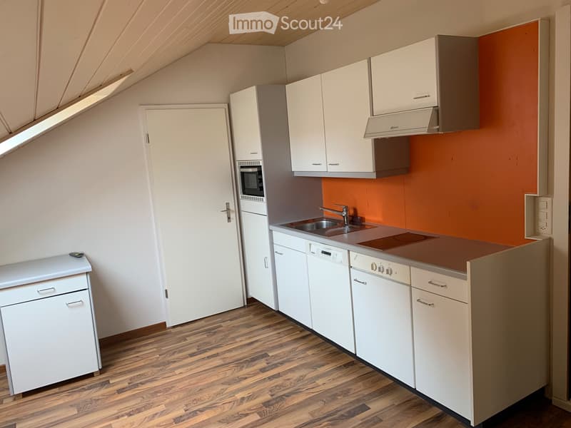 1 Zimmer Wohnung (1)