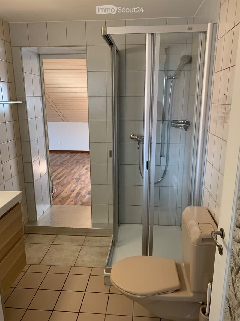 1 Zimmer Wohnung (5)