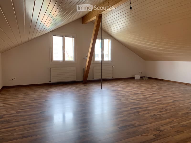 1 Zimmer Wohnung (3)