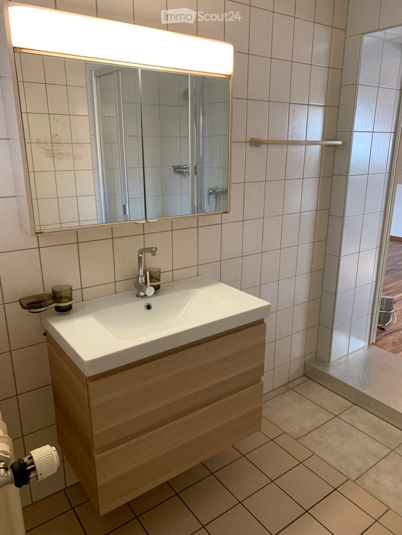 1 Zimmer Wohnung (4)