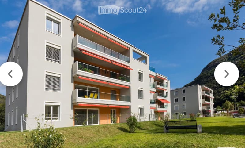 Cerco subentrante (4)
