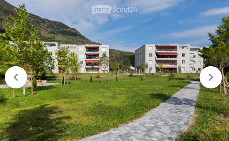 Cerco subentrante (5)