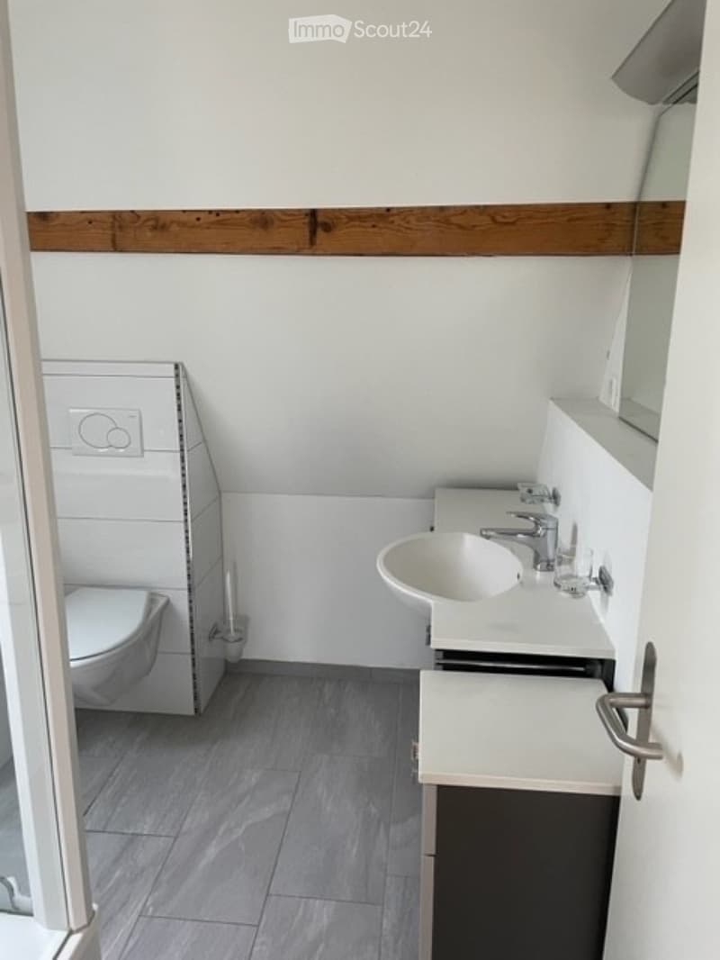 1-Zimmer-Wohnung in Dietikon  befristet 01.14. September (2)