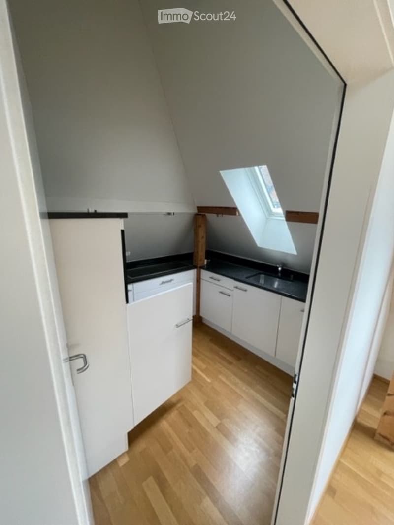 1-Zimmer-Wohnung in Dietikon  befristet 01.14. September (4)