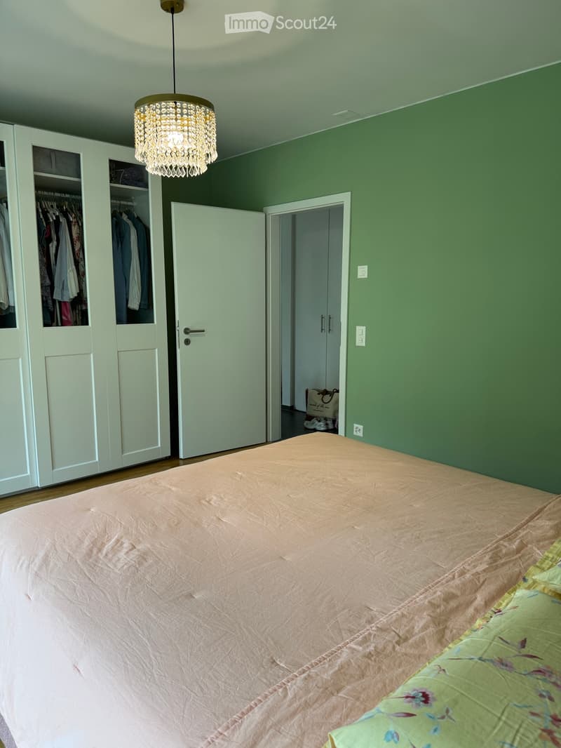 Appartamento in affitto 2.5 Pazzallo (9)