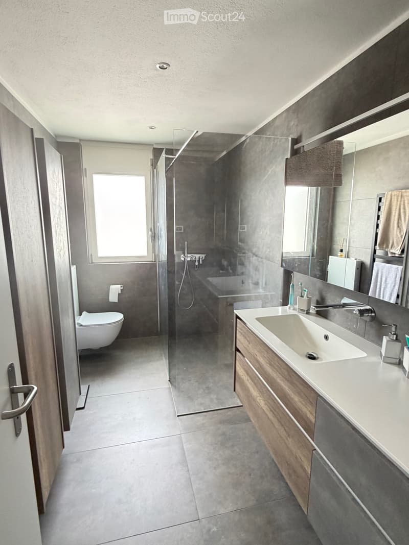 APPARTAMENTO DI 6.5 LOCALI DUPLEX/MAISONETTE (8)