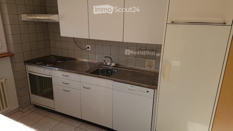 Ruhige 4.5-Zi. Wohnung im Grünen (4)