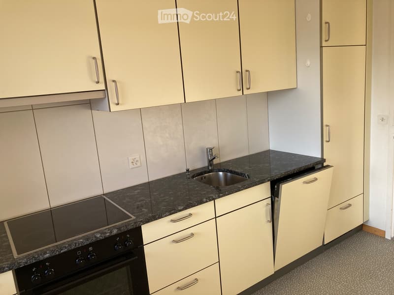 Frisch renovierte 3,5 Zimmer-Wohnung (5)