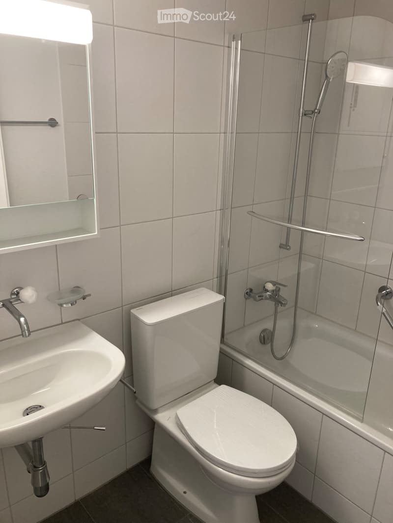 Frisch renovierte 3,5 Zimmer-Wohnung (4)