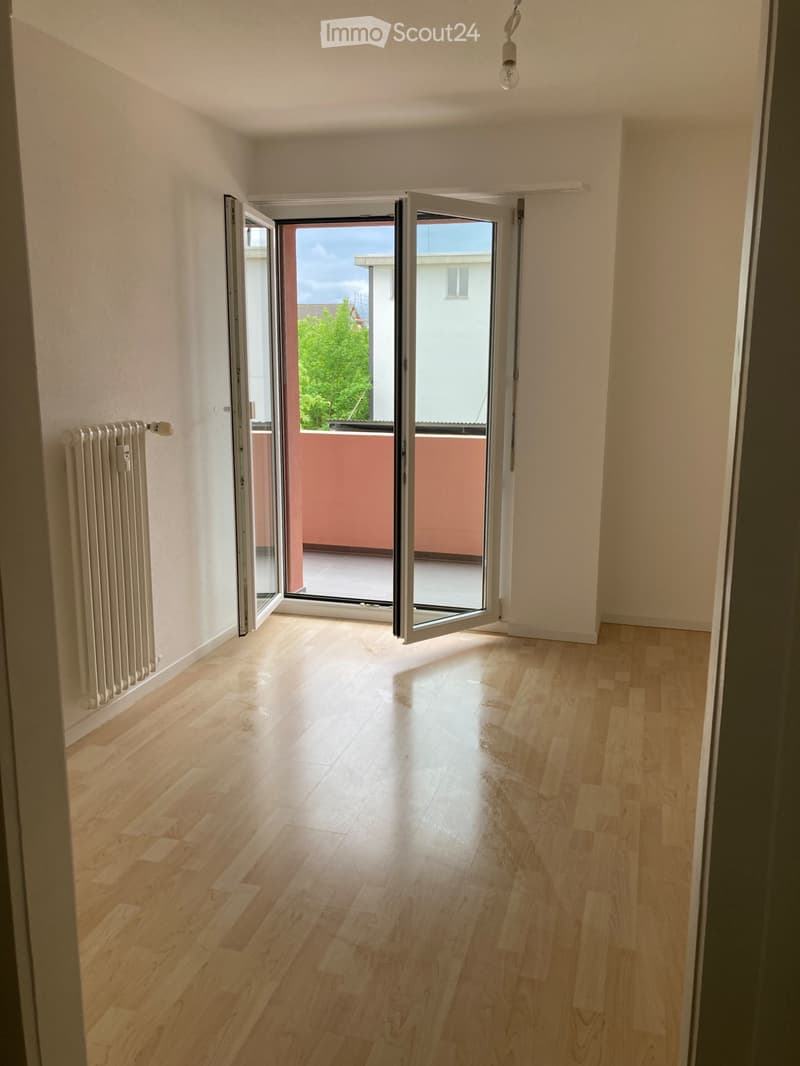 Frisch renovierte 3,5 Zimmer-Wohnung (3)