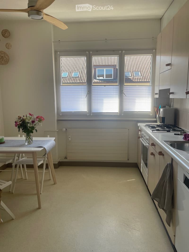 Möbliertes 1 Zimmer Idealer Lage in Herzen Zürich. (3)