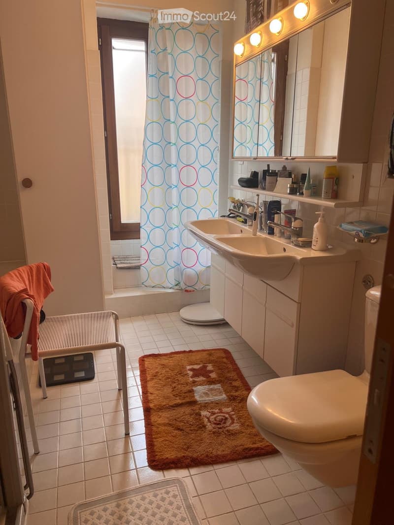Bellissimo duplex in zona tranquilla (5)