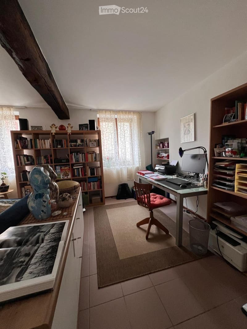 Bellissimo duplex in zona tranquilla (4)