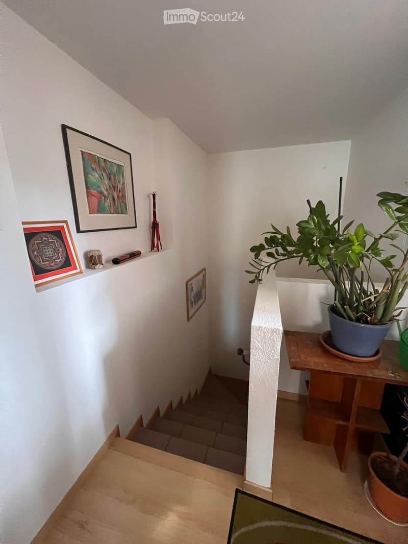 Bellissimo duplex in zona tranquilla (3)