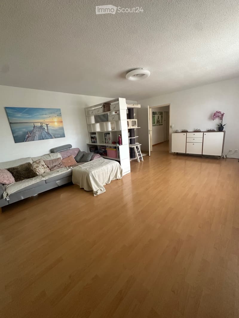 Grosszügige 7-Zimmer-Wohnung in Hochfelden (1)