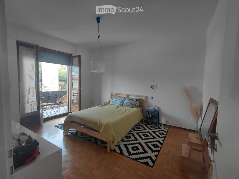 Appartamento 3,5 luminoso e spazioso in piccola palazzina (5)