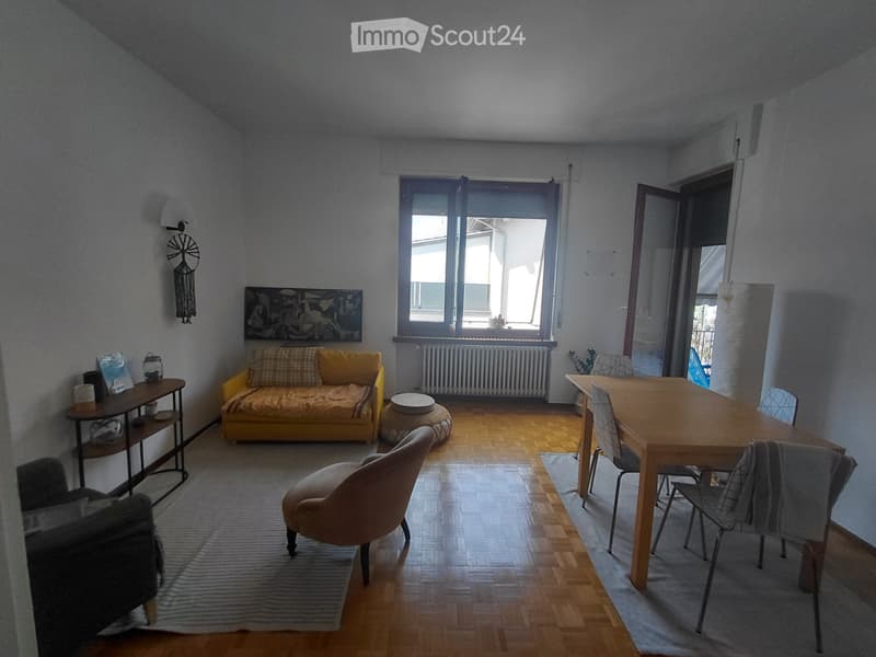 Appartamento 3,5 luminoso e spazioso in piccola palazzina (4)