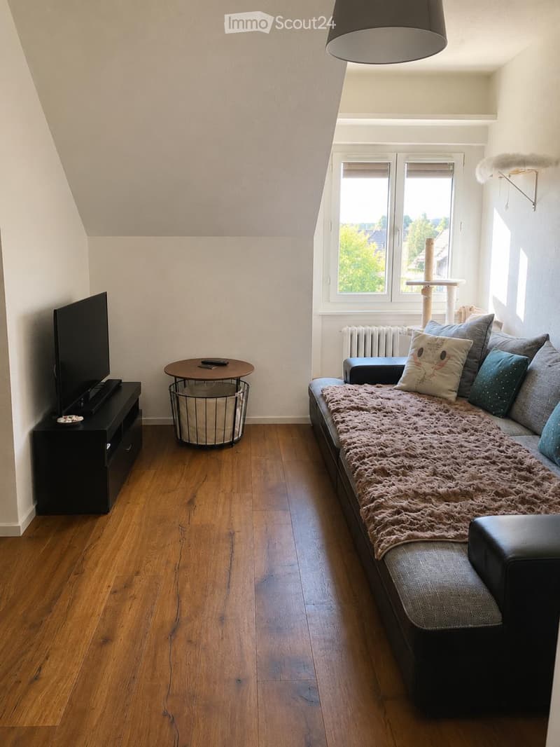 Nachmieter für 3.5 Zimmer Wohnung gesucht (3)