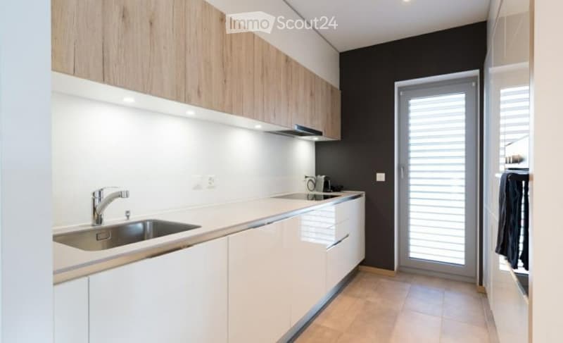 Magnifique appartement - Genève 3 pièces, 4e étage (3)
