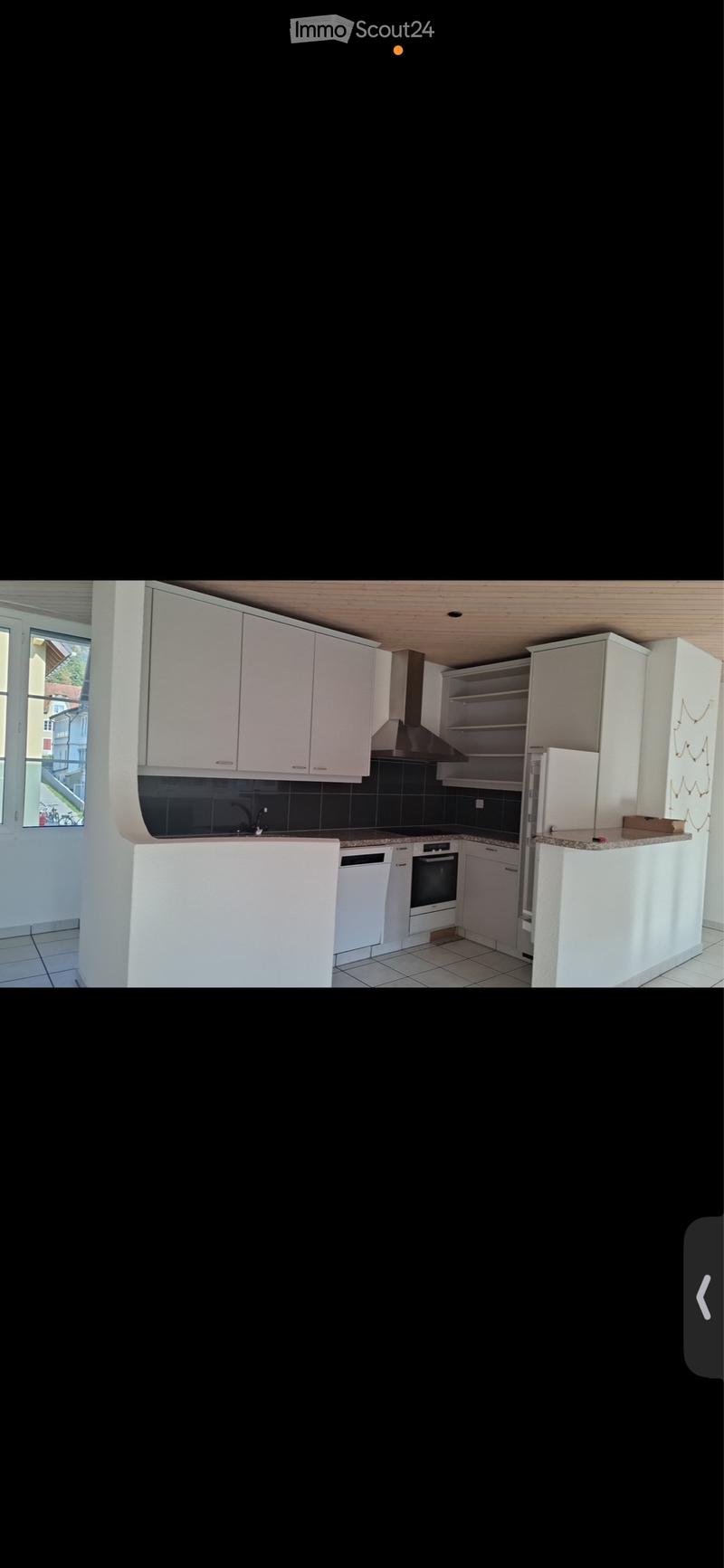 3.5 Zimmer Wohnung (5)