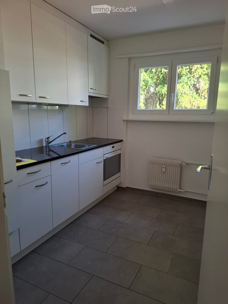 Nachmieter für 4-Zimmer Wohnung gesucht (1)