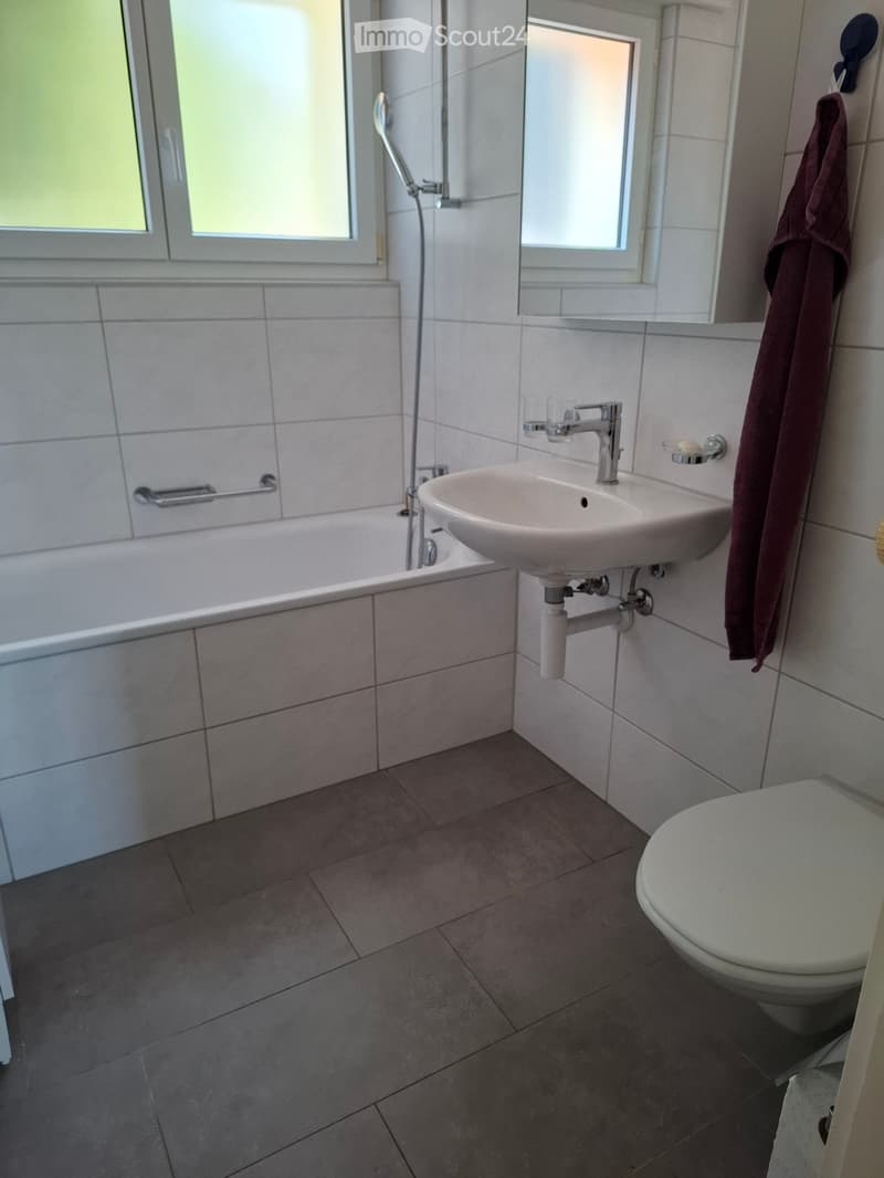 Nachmieter für 4-Zimmer Wohnung gesucht (4)
