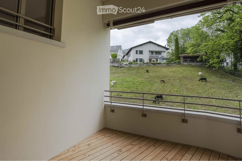 Moderne 3.5-Zimmer-Attika-Wohnung (4)