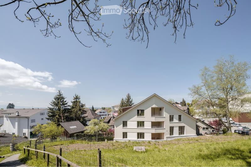 Moderne 3.5-Zimmer-Attika-Wohnung (1)