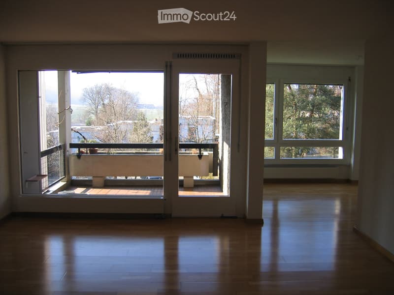 4.5-Zimmerwohnung mit Aussicht (4)