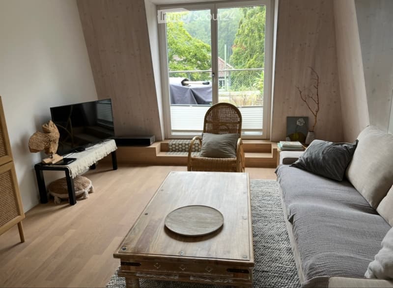 Moderne 2.5-Zimmer-Wohnung Nachmieter gesucht (2)