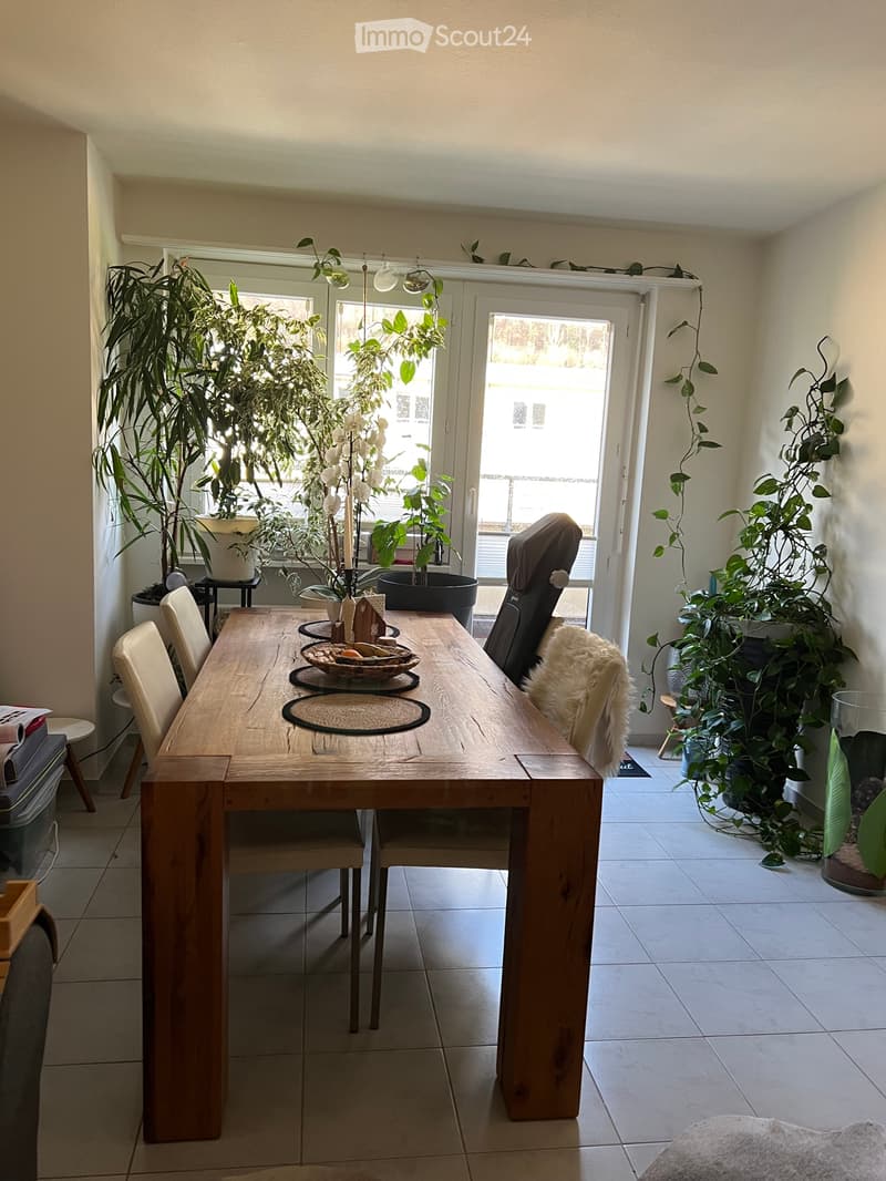 Nachmieter für mobilierte Aktika Wohnung ab Februar 2027 (2)